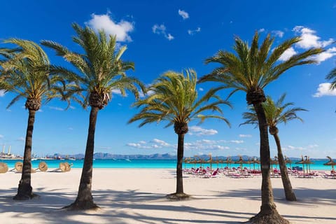 On the beach, sun loungers, beach towels