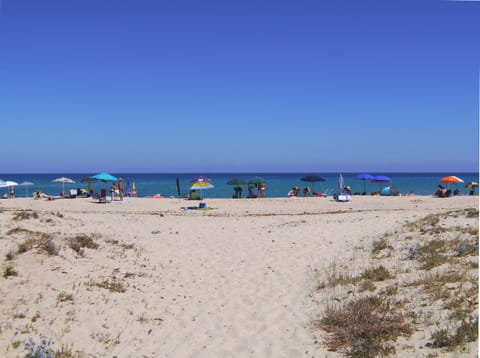 On the beach, sun loungers