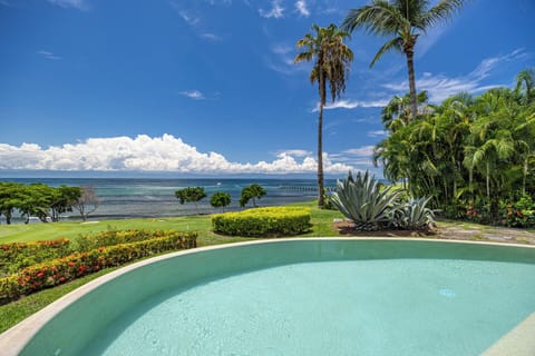 Outdoor pool, an infinity pool, sun loungers