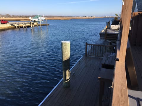 View of wetlands from Deck