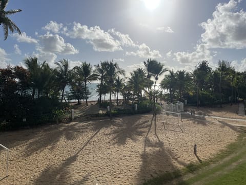 On the beach, sun loungers, beach towels