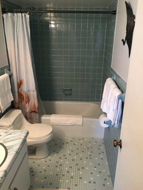 Combined shower/tub, towels, toilet paper