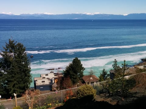 Herring season in March.  View from the deck of Big Vista.