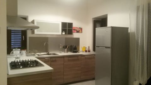 Fridge, oven, stovetop, coffee/tea maker