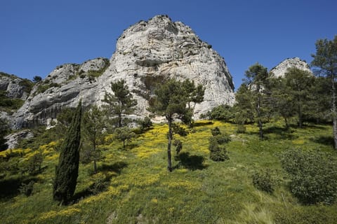 a beautiful setting...