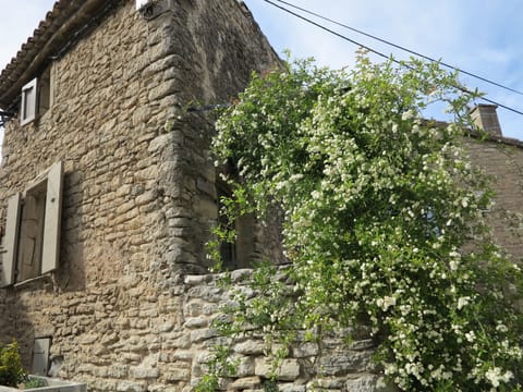 The house in the springtime 