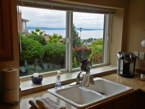 View from the kitchen sink. 