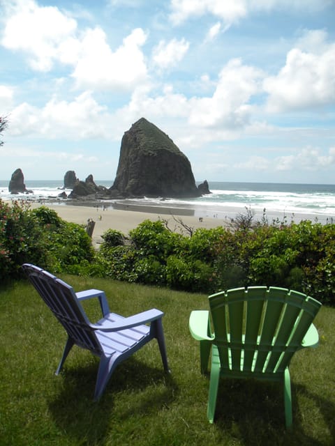 View from our yard