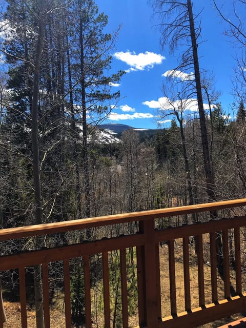 Winter View from Deck