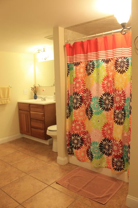 Bathtub, jetted tub, hair dryer, towels