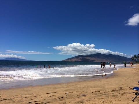 Sun loungers, beach towels