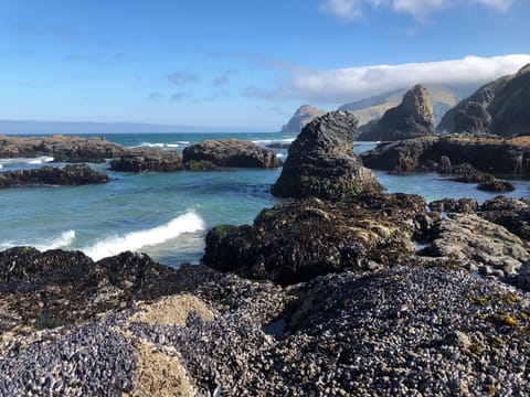 At low tide walk around the point, a mile North, for beautiful hidden seascapes.