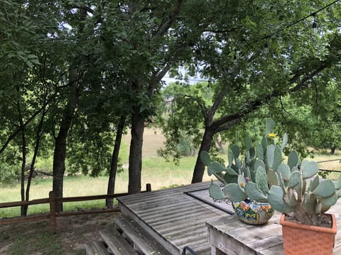 Frederick creek.. where the deer run