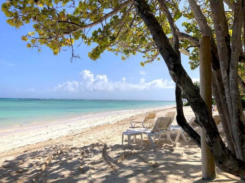 Beach nearby, sun loungers, beach towels