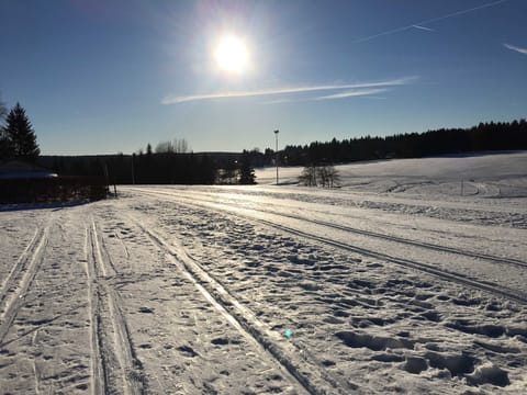 Snow and ski sports