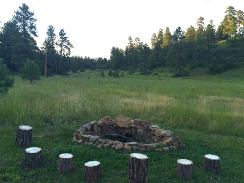 Getting ready to enjoy an evening in the backyard