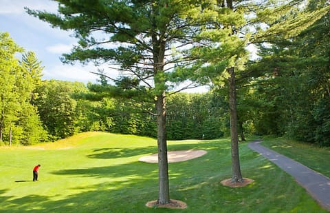 The Oaks Golf Course