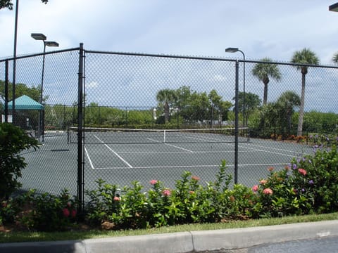 Sport court