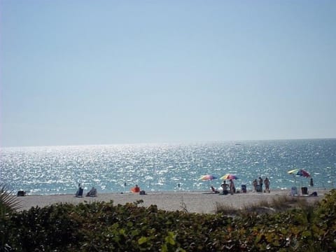 Beach | On the beach, sun loungers, beach umbrellas, beach towels