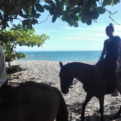 On the beach