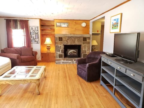 TV, fireplace, DVD player