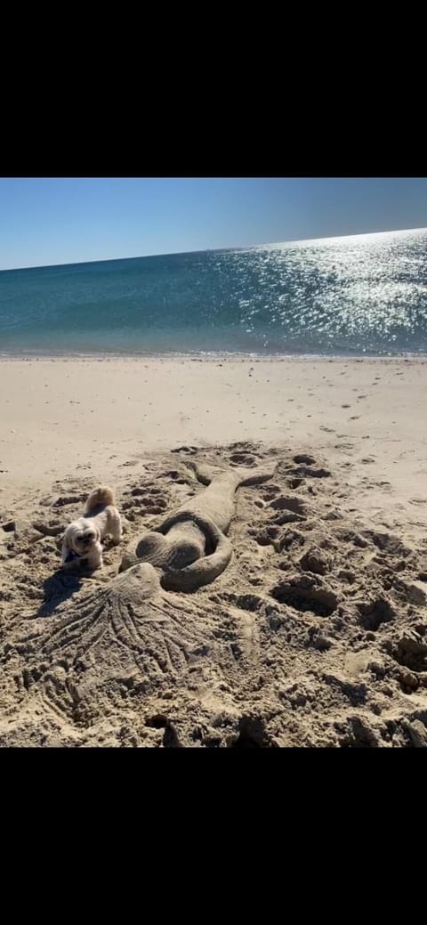 On the beach