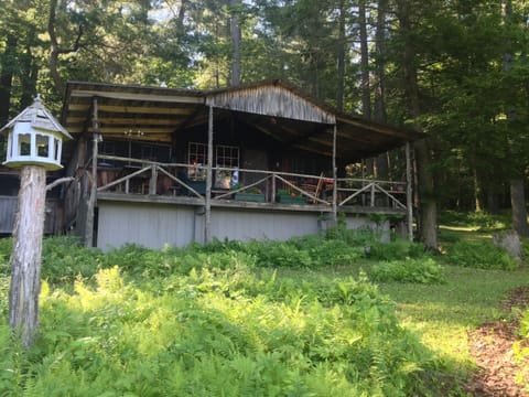 Roaring Bear Cabin nestled in the ferns
Front view facing lake