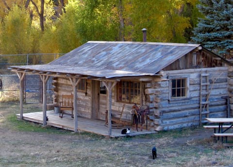 Homestead Cabin