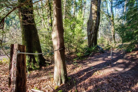 Play area in woods with very popular rope swing.
