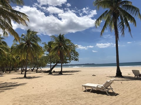 On the beach, sun loungers, beach towels