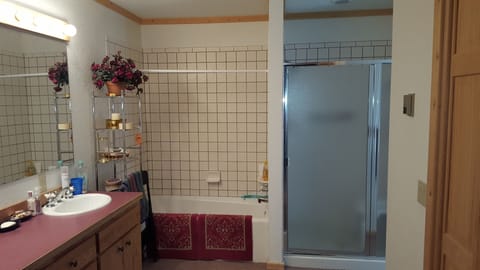 Combined shower/tub, hair dryer, towels, soap