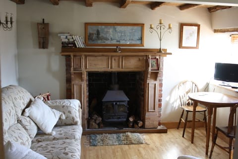 The lounge. Complete with real woodburner and logs