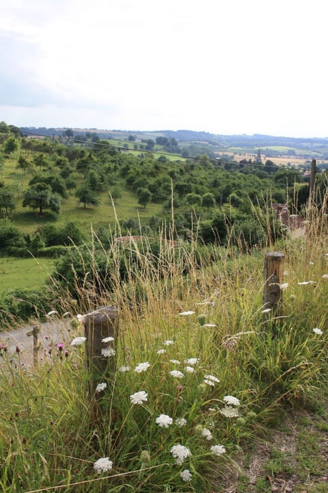 View. Nothing short of gorgeous.