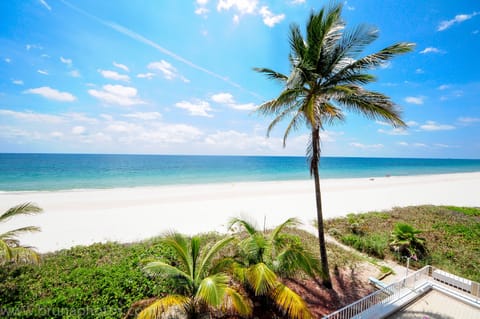 On the beach, sun loungers, beach towels