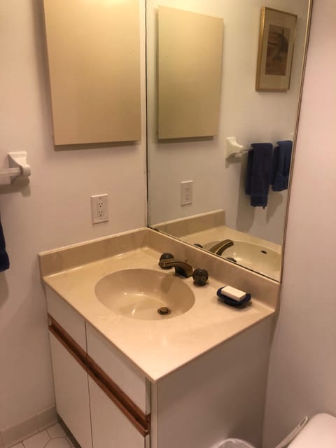 Combined shower/tub, hair dryer, bidet, towels