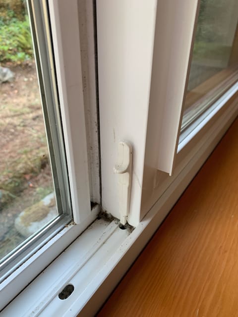 Second lock on each window