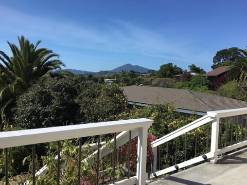 View of Mt. Tamalpais from deck
