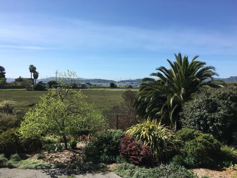 Marsh and boat harbor from deck