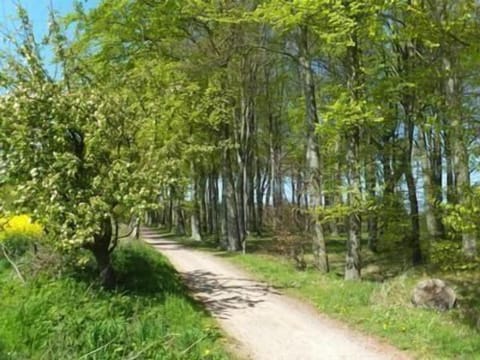 Town/city in general. Picture 23