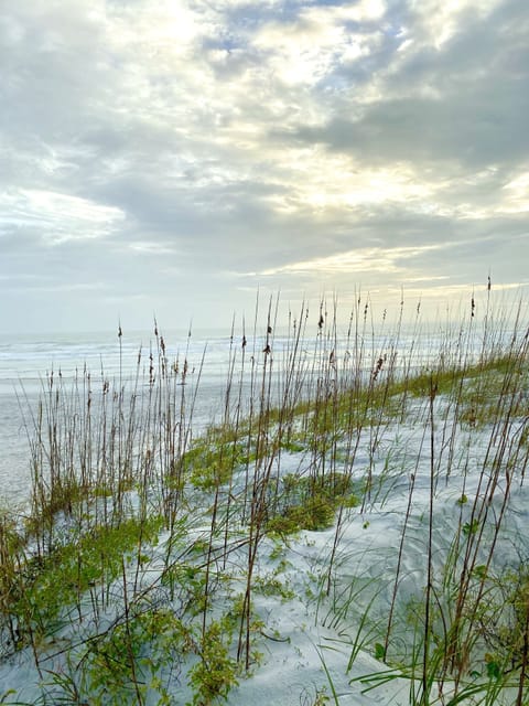 Beach nearby, sun loungers