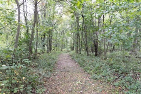 Your private nature preserve!