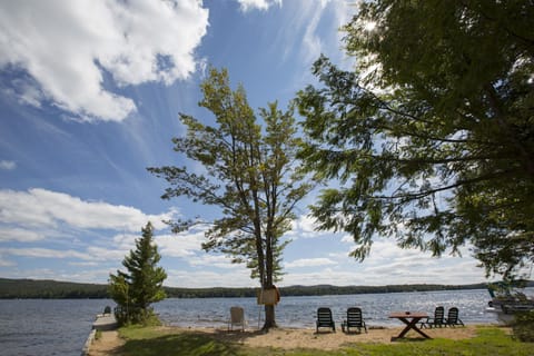 Beach nearby, sun loungers