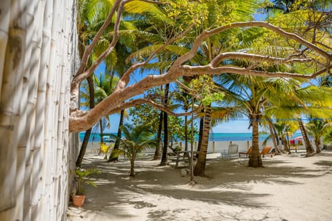 Beach nearby, beach towels