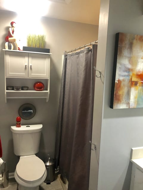 Combined shower/tub, hair dryer, towels