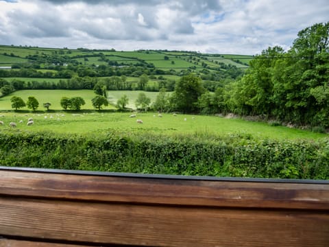 View from the Master Bedroom