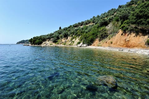 Beach nearby, sun loungers