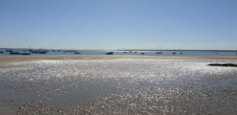 On the beach, sun loungers