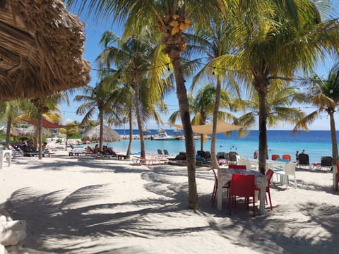 Beach nearby, sun loungers, beach towels