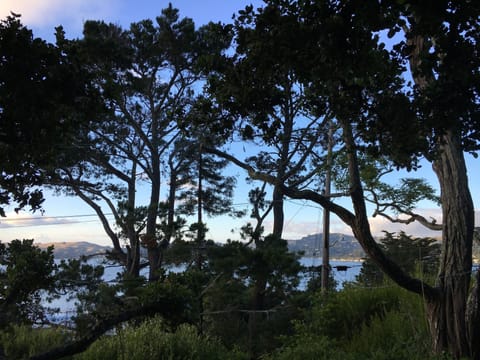 view of bay and trees from living room