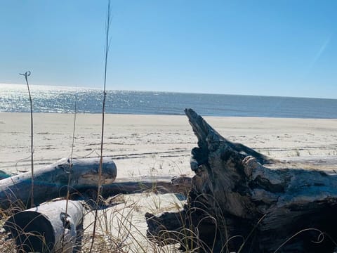 On the beach